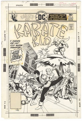 Karate Kid #2 Cover