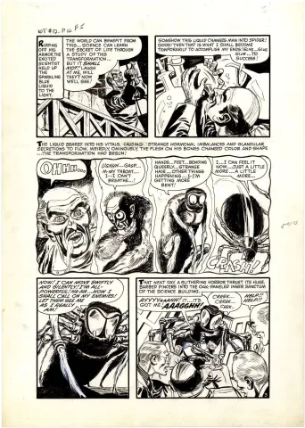 Witches Tales #12 p3 (Large Art)(The Fly)